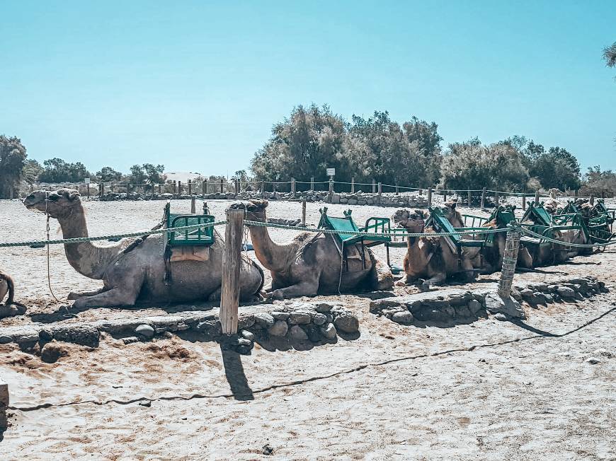 Lugar Maspalomas