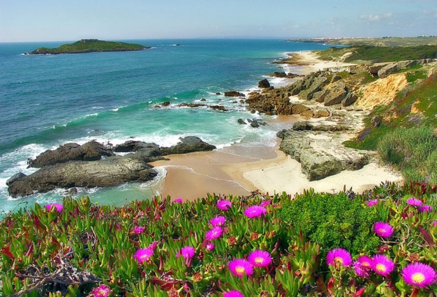 Place Praia da Ilha do Pessegueiro