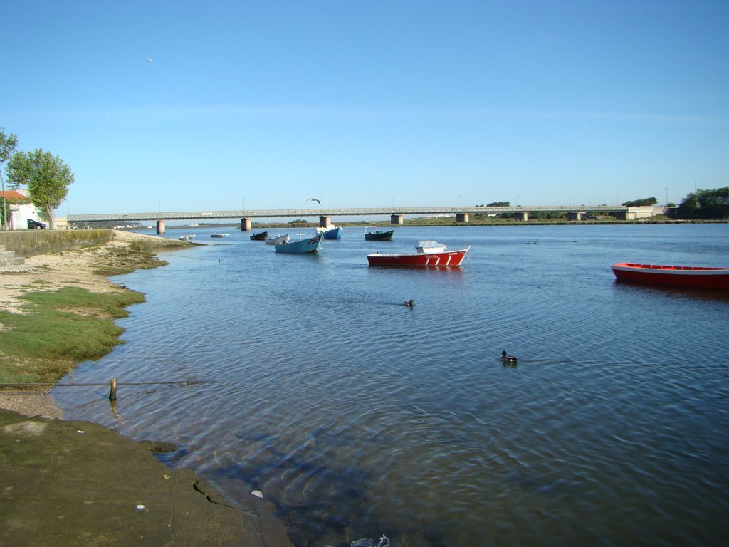 Lugar ESPOSENDE - FO