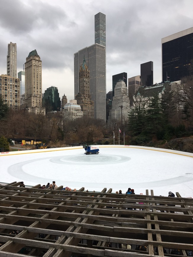 Place Central Park