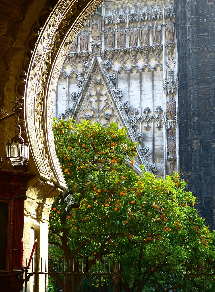 Lugar Puerta del Perdón y Patio de los Naranjos