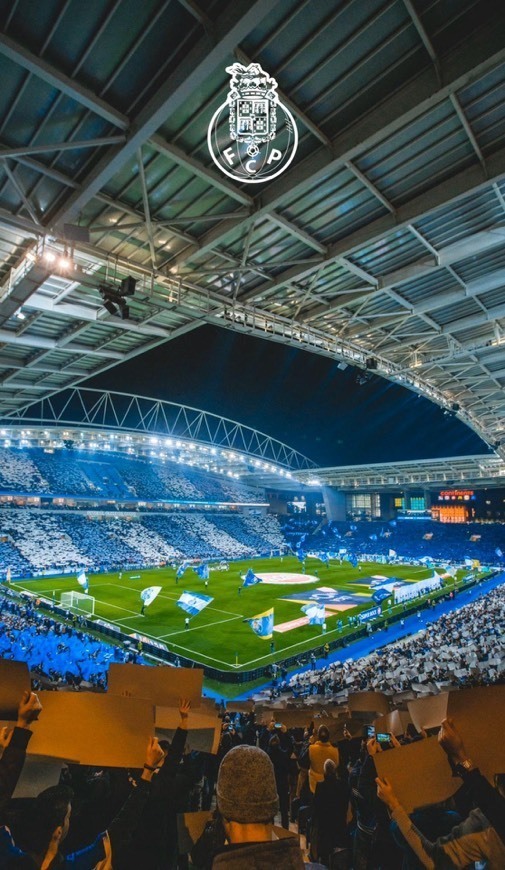 Lugar Estádio do Dragão