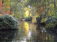 Place Tiergarten