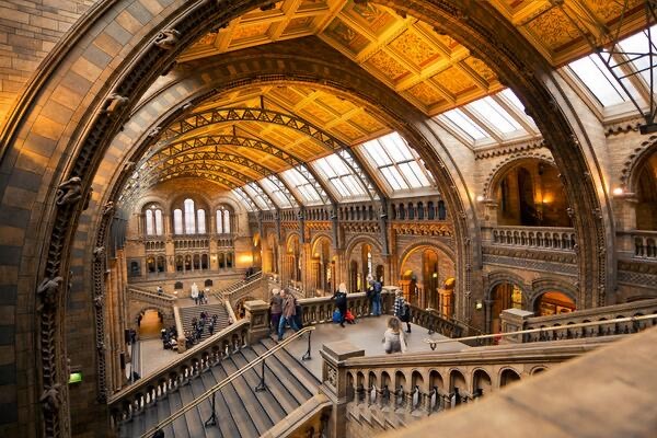 Place Natural History Museum