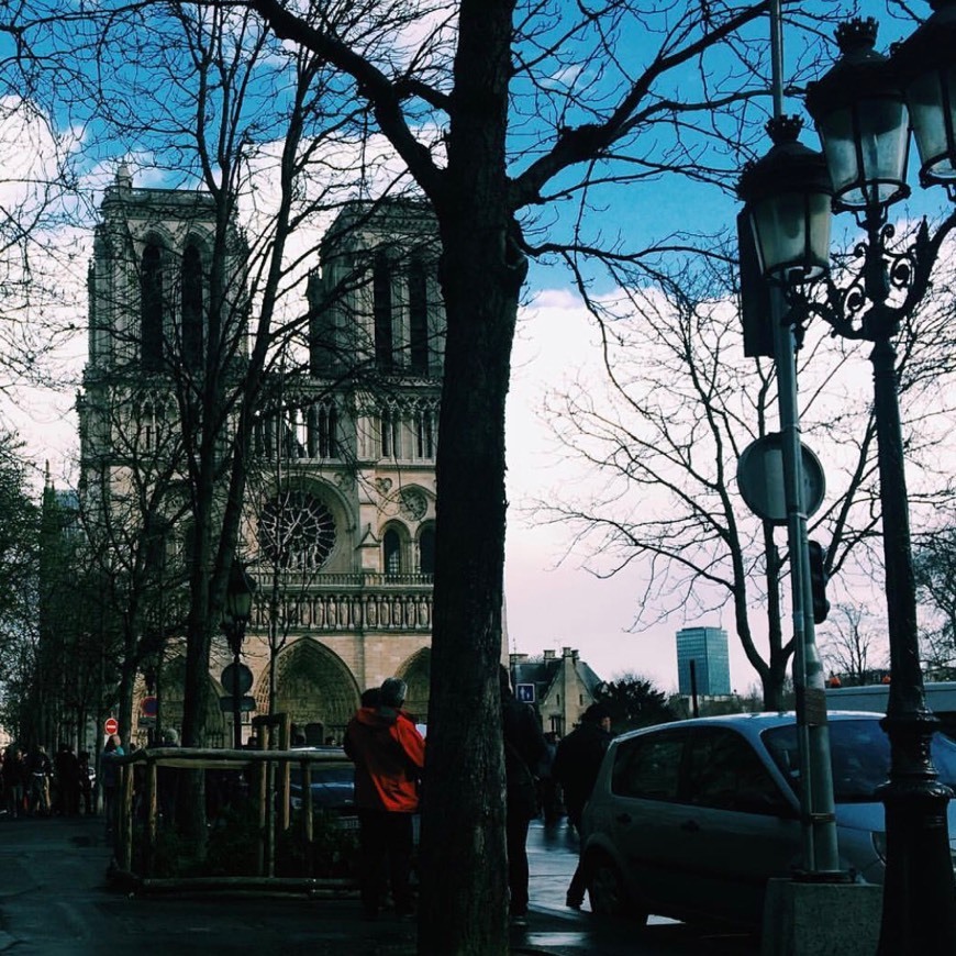 Lugares Catedral de Notre-Dame