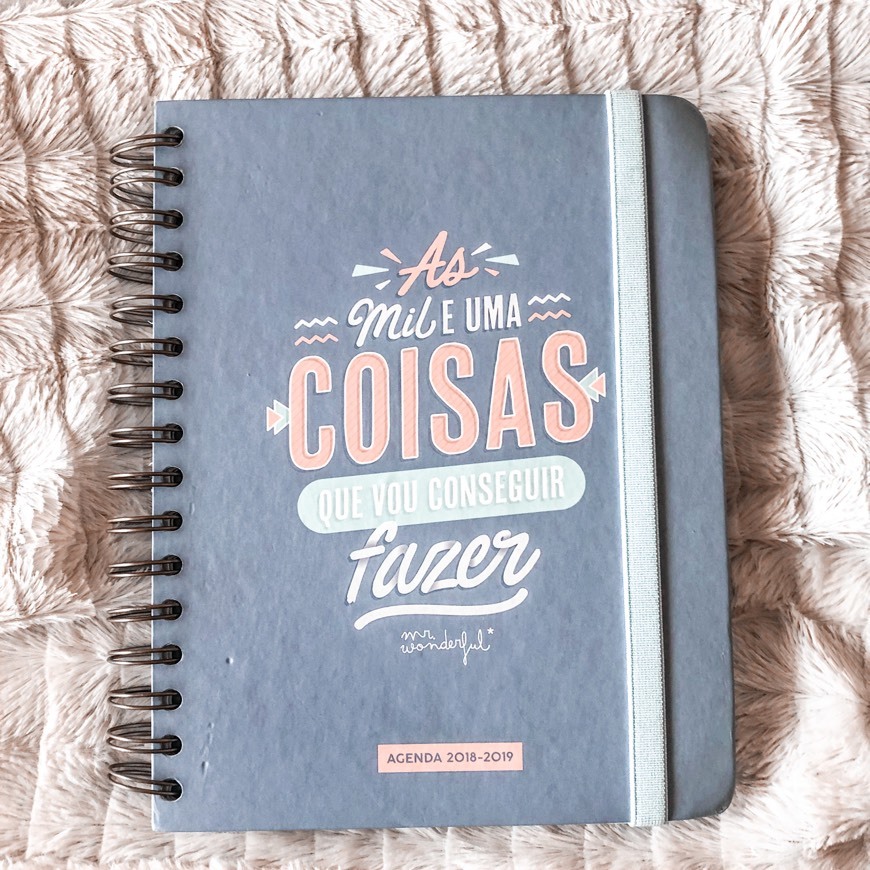 Productos Agenda 2018-2019 Mr Wonderful