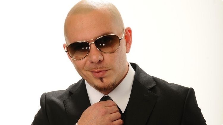 Social Pitbull
