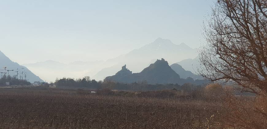 Place The vineyards