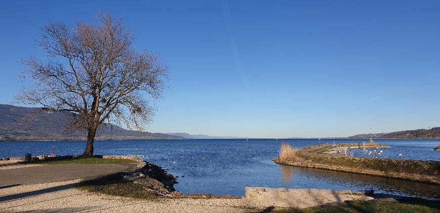 Lugares Lac de Neuchâtel à Yverdon-les-Bains 