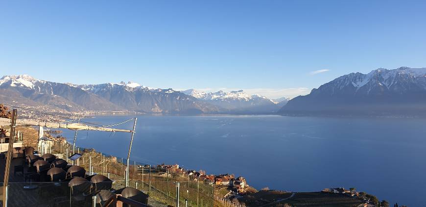 Lugares Lac Léman à Chexbres