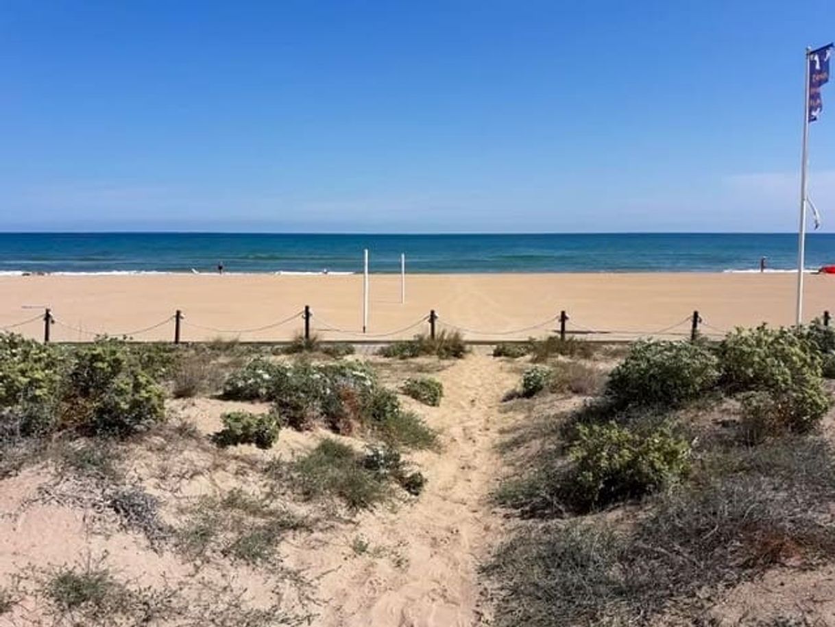 Lugar Playa de Xeraco