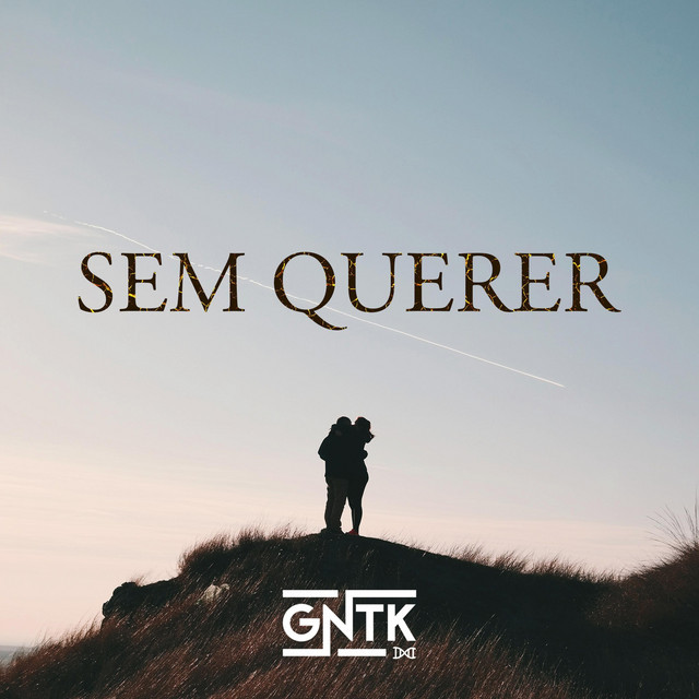 Canción Sem Querer