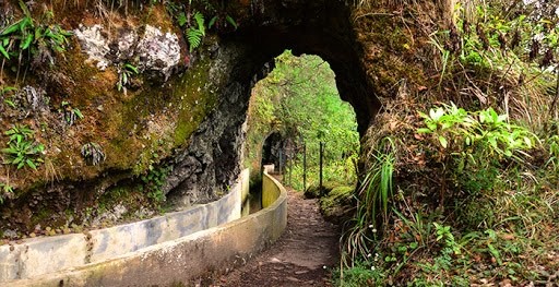 Place PR10 Levada do Furado - Ribeiro Frio - Portela