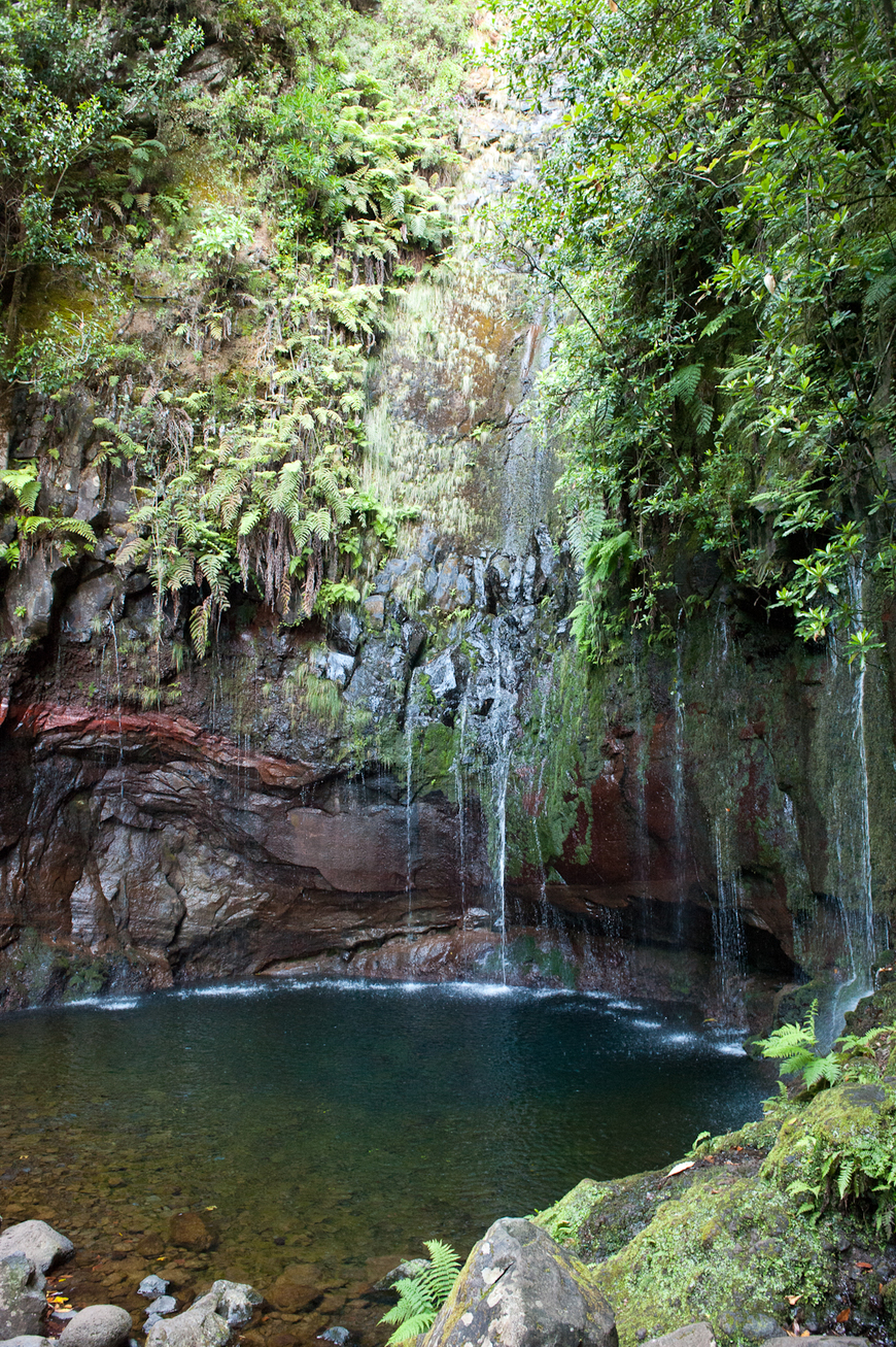 Place PR6 Levada das 25 Fontes / Levada do Risco