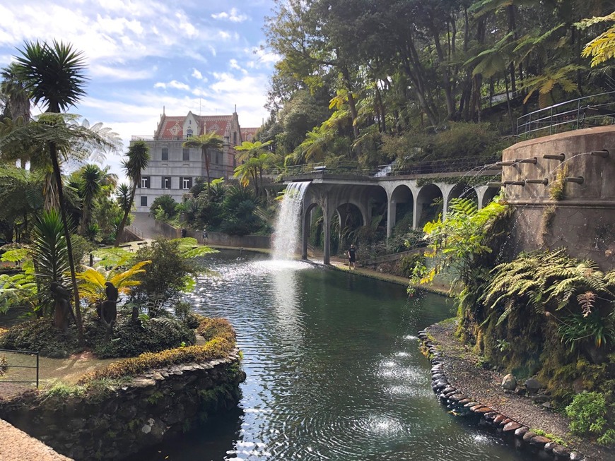 Lugar Jardim Tropical de Monte