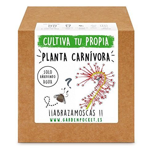 Lugares Pocket Juice - Kit Garden Pocket Semillas De Planta Carnívora Drosera