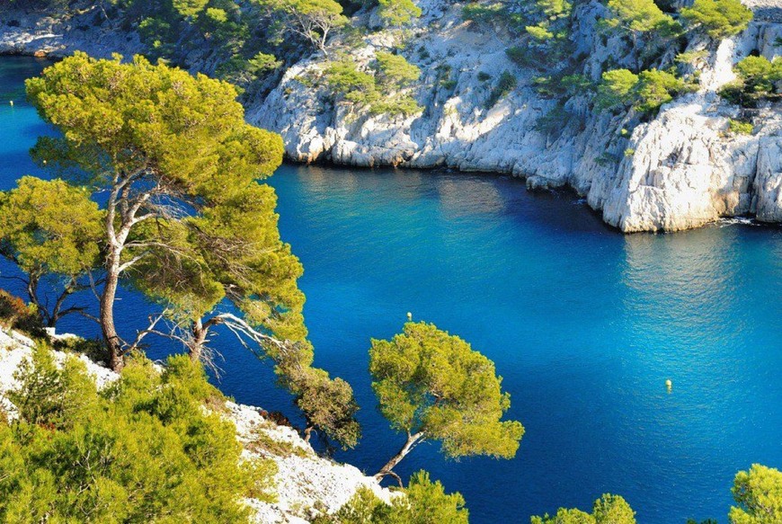 Places Calanque Port Pin