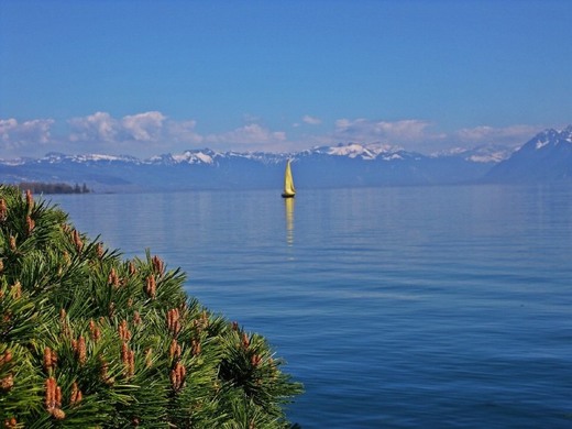 Morges