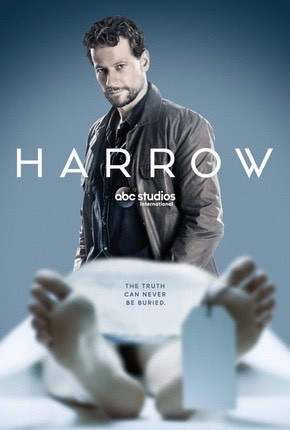 Serie Harrow - Temporada 1