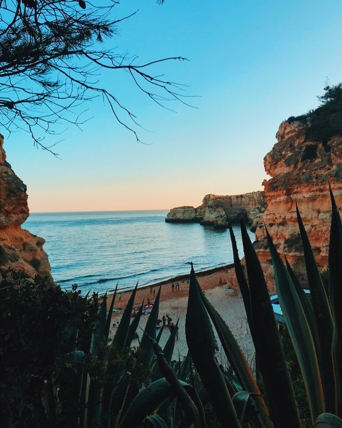 Place Praia da Coelha