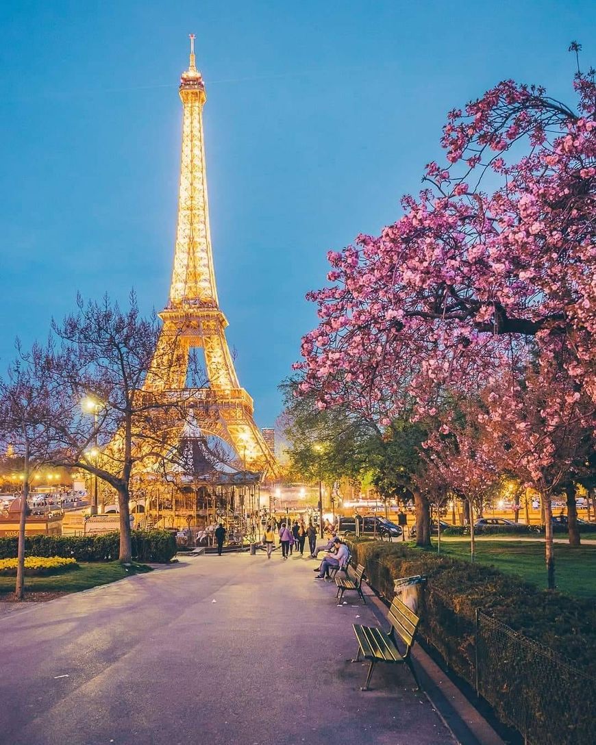 Place Torre Eiffel