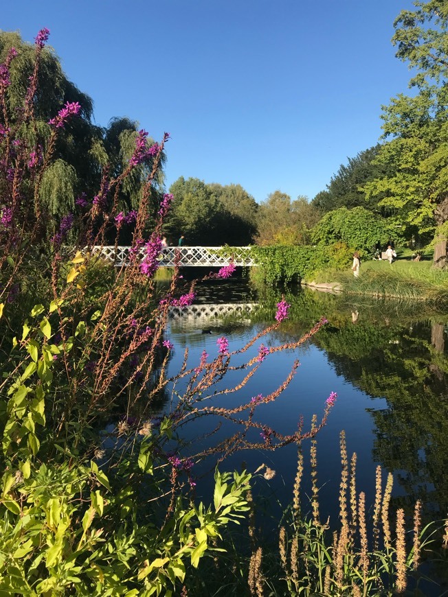 Place Botanisk Have