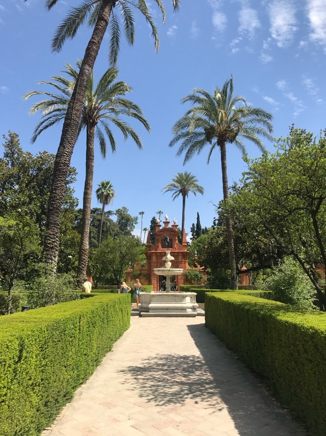 Lugar Real Alcázar de Sevilla