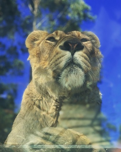 ZOO Santo Inácio