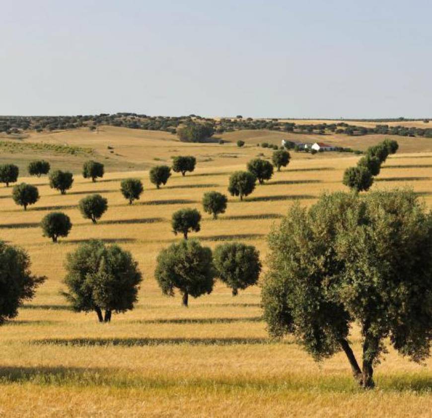 Lugar Alentejo