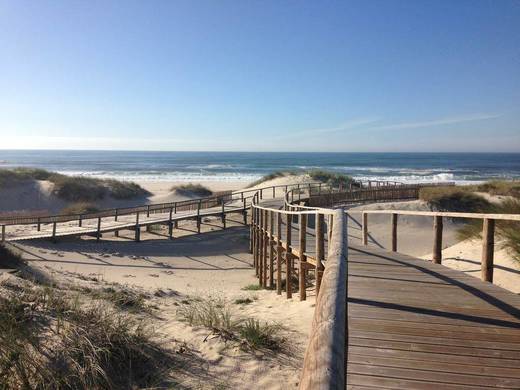 Praia da Torreira