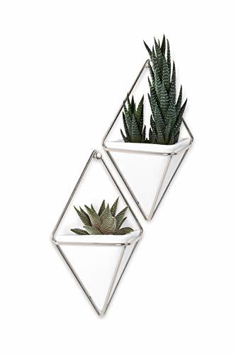 Product Umbra Trigg Pared jarrón y geométrico Deko – Maceta para Plantas