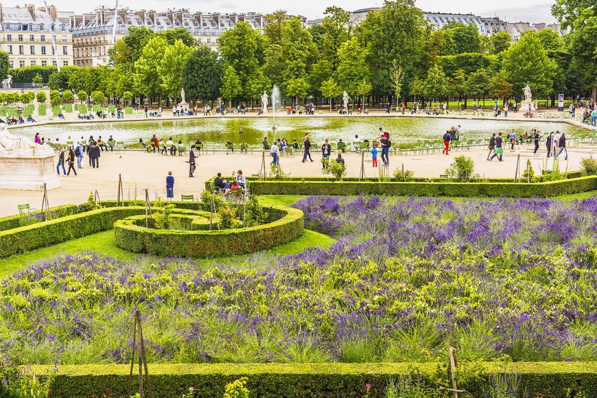 Lugar Jardin des Tuileries