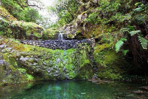 PR10 Levada do Furado - Ribeiro Frio - Portela