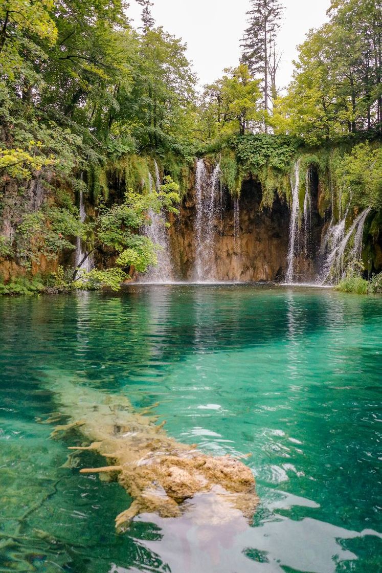 Place Parque Nacional de los Lagos de Plitvice