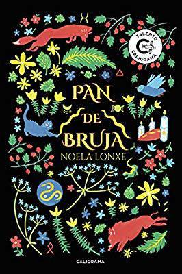 Pan de Bruja