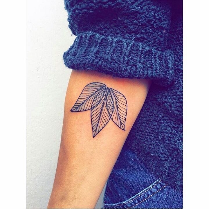 🍃