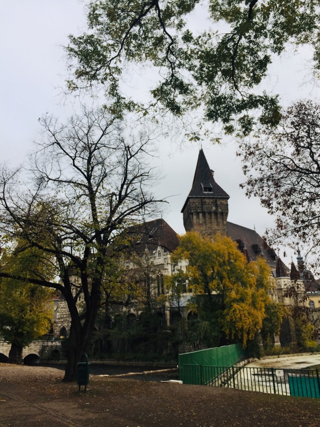 Place Castillo de Vajdahunyad