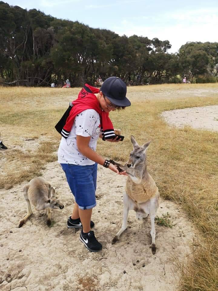 Lugar Phillip Island Wildlife Park