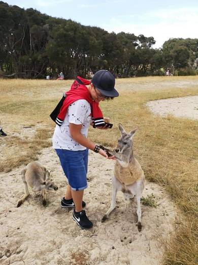 Phillip Island Wildlife Park