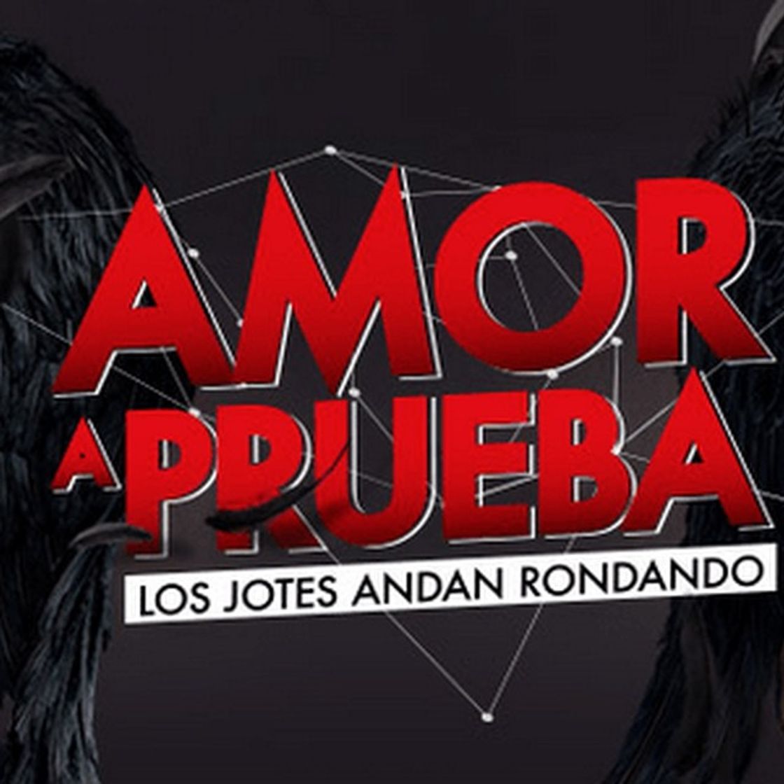 Social Amor a Prueba 