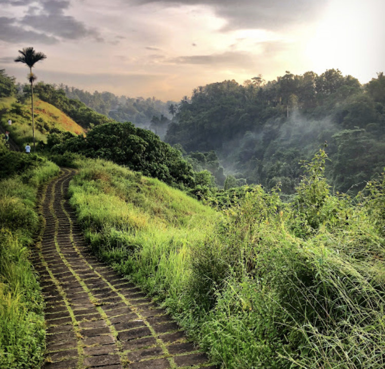 Lugar Campuhan Ridge Walk