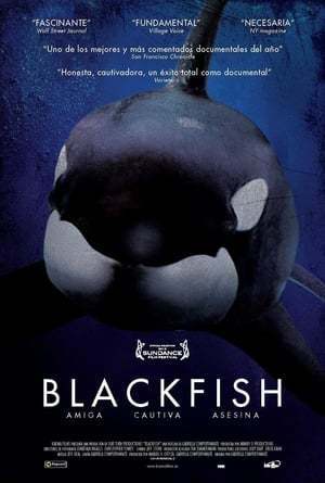 Movie Blackfish