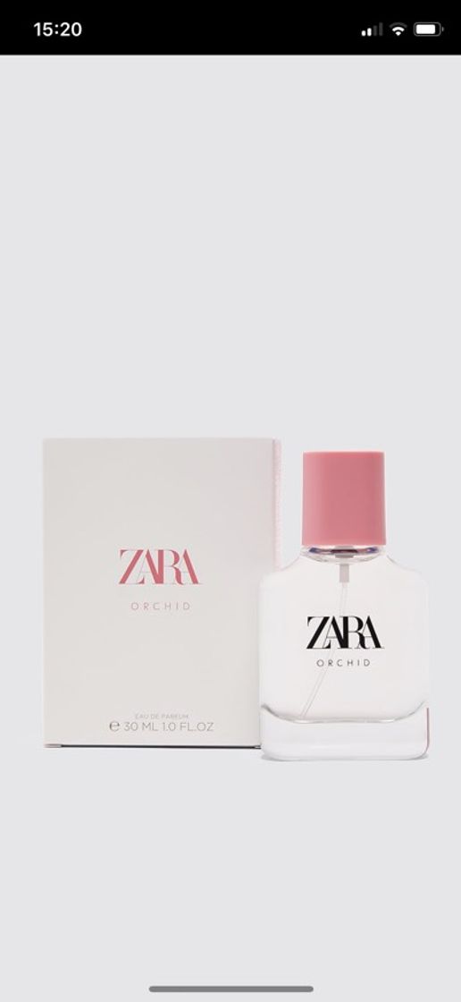 Moda Zara orchid