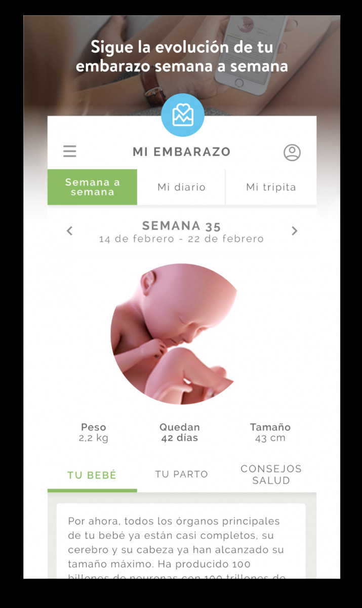 App Mi embarazo al día 