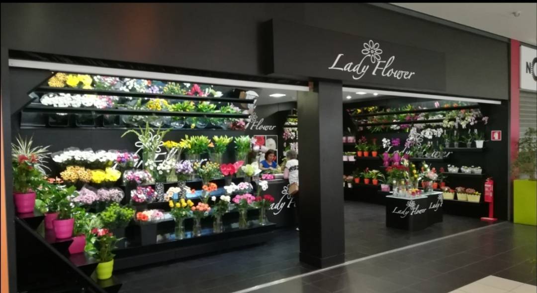 Lugar Lady Flower - florista