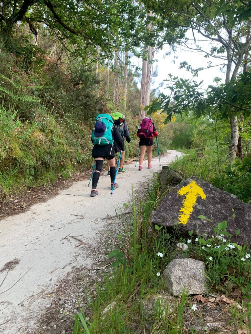 Lugar Caminho de Santiago