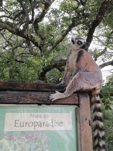 Europaradise | Parque Zoológico