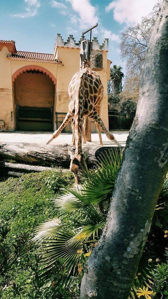 Place Jardim Zoológico de Lisboa