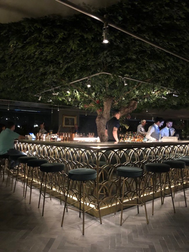 Restaurants Restaurante Seen