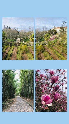 Jardim Botânico da Universidade de Coimbra